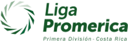 Primera División
