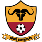Young Buffaloes