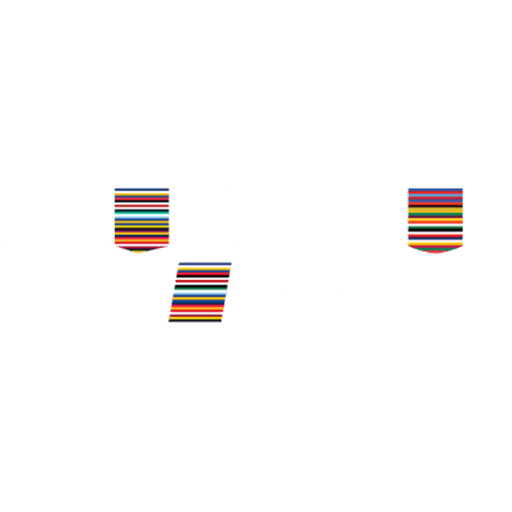 Hilux NPC logo