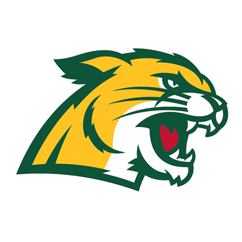 Northern Michigan Wildcats logo