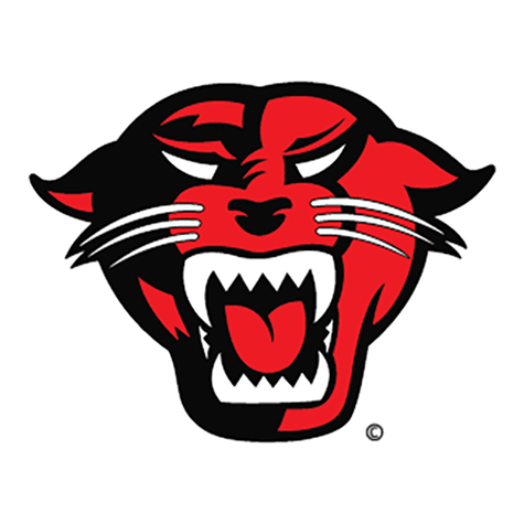Davenport Panthers logo