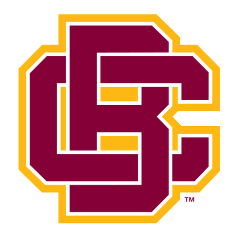 Bethune-Cookman Wildcats logo