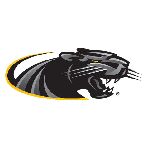 Panthers logo