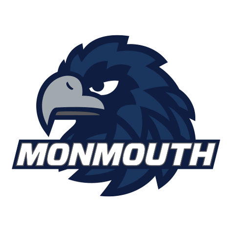 Hawks logo