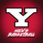 Youngstown State Penguins logo
