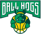 Ball Hogs Usa logo