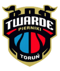 Torun logo
