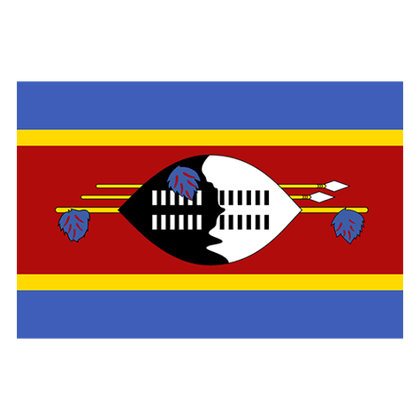 Eswatini logo