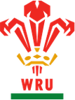 Wales U20 logo