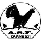 Olimpic Zărneşti logo
