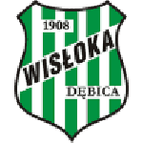 Wisłoka Dębica logo