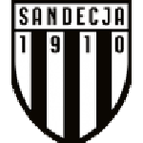 Sandecja Nowy Sącz logo